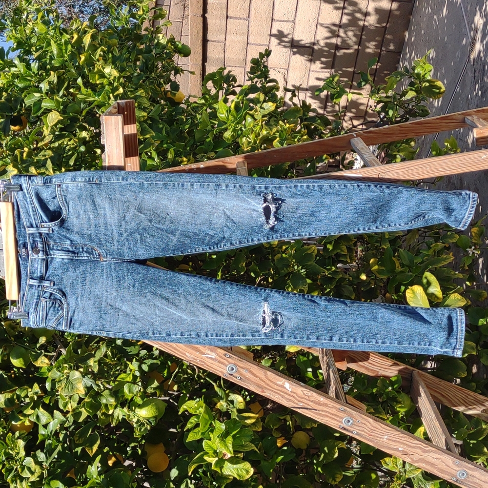 A GOLD E Sophie Skinny Jeans High Waist Distressed Knees 27